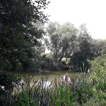 Home Farm Birtsmorton 외부 사진