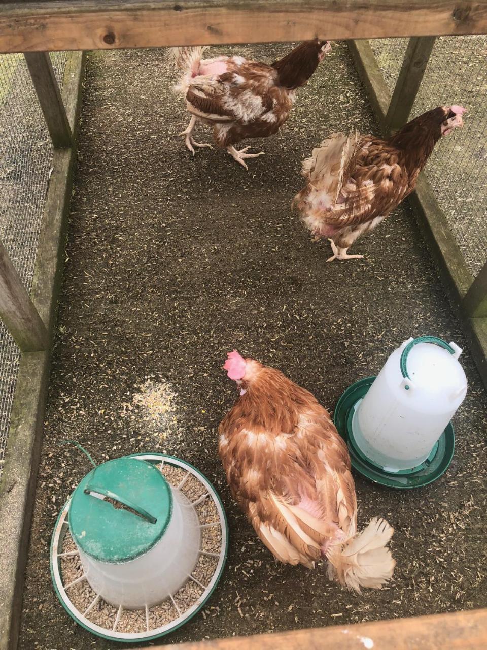 Home Farm Birtsmorton 외부 사진