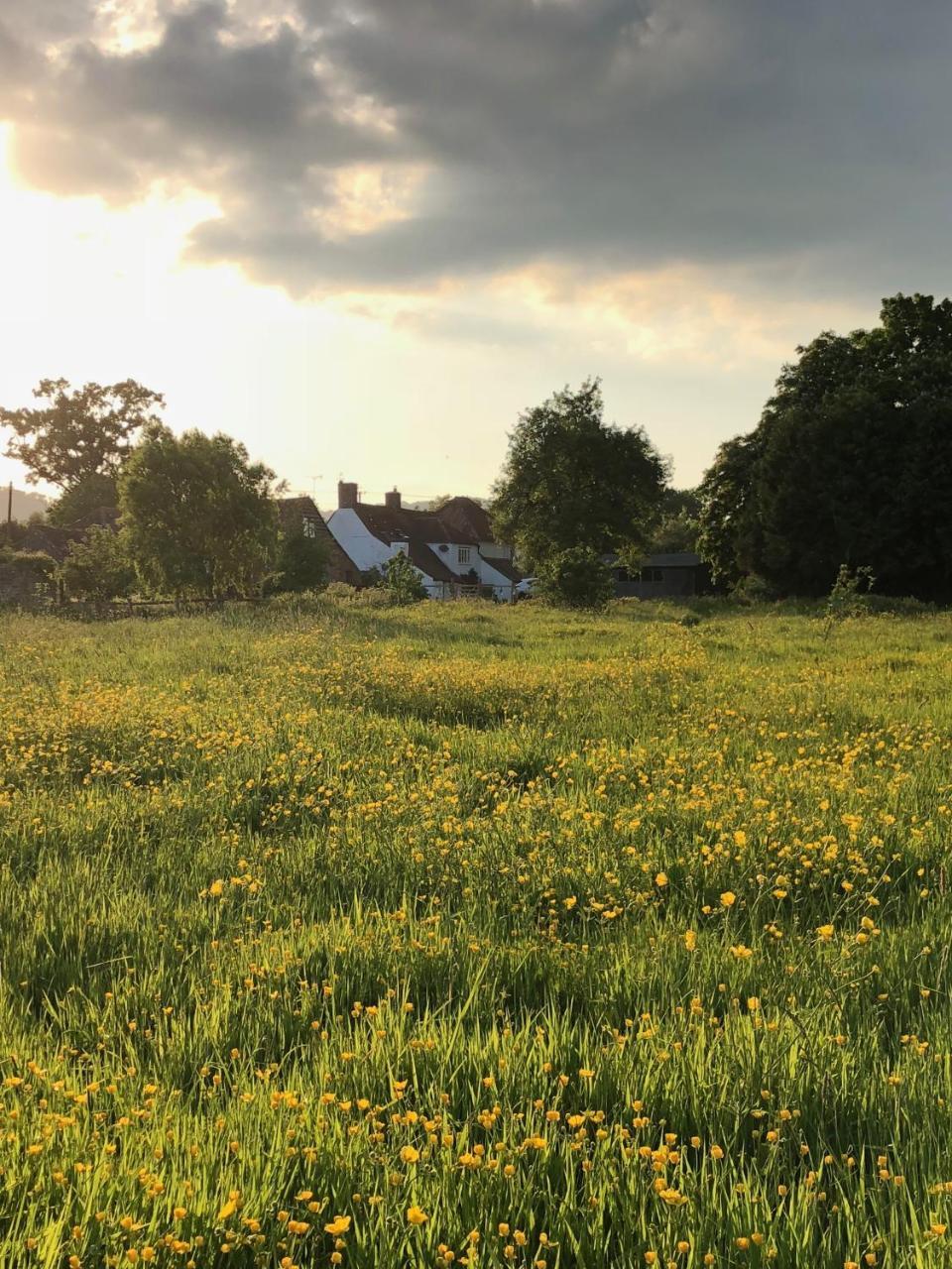 Home Farm Birtsmorton 외부 사진