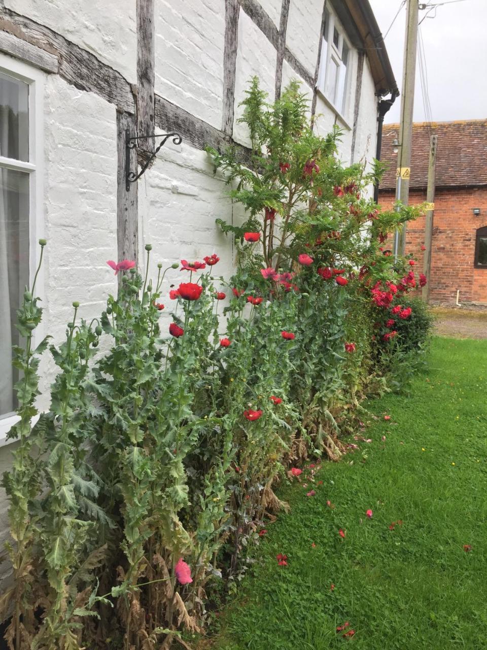 Home Farm Birtsmorton 외부 사진